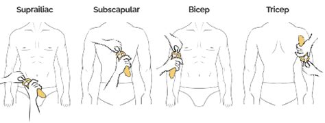 how to measure skin fold thickness|skinfold assessment chart.